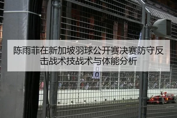 陈雨菲在新加坡羽球公开赛决赛防守反击战术技战术与体能分析
