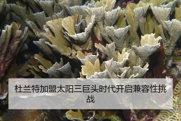 du-lan-te-jia-meng-tai-yang-san-ju-tou-shi-dai-kai-qi-jian-rong-xing-tiao-zhan-2-642.jpg